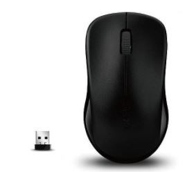 RAPOO 1620 2.4G Wireless Entry Level Mouse Black