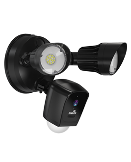IntelLink Security Floodlight Camera